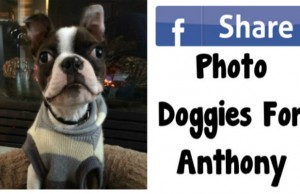 La pet therapy è social: la storia di Anthony (FOTO)