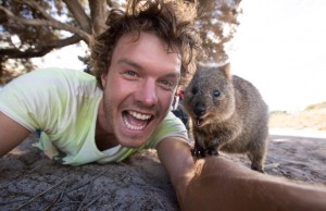 Il nuovo trend è fare selfie con i quokka (FOTO)