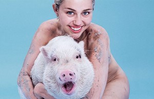Miley Cyrus è la veg star più sexy (loVeg)