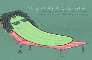 Illustrazioni divertenti sui modi di dire inglesi (FOTO)