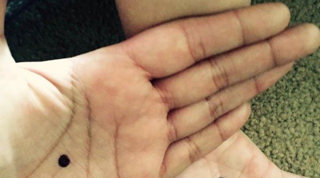 11249638_1487075358255167_7342007251215700297_n