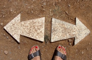 Cervello VS Cuore, chi vincerà? (FOTO)