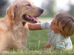 Bambini e animali: un legame speciale (FOTO)