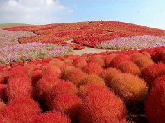 I 5 paesaggi più incredibili da vedere (FOTO)