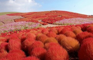 I 5 paesaggi più incredibili da vedere (FOTO)