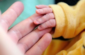 Il riscaldamento globale riduce la fertilità