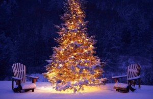 Lo spirito del Natale si trova nel cervello: lo dice una ricerca