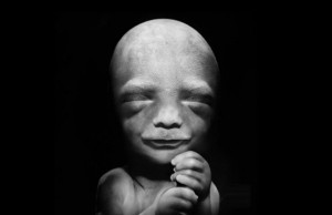 Il mistero della vita: ecco come si forma un bambino (FOTO)