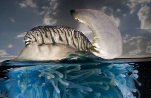 Gli universi paralleli di Matthew Smith (FOTO)