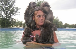 Animali feroci che convivono con gli uomini (FOTO)