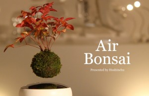 Air Bonsai: la nuova frontiera dello zen giapponese (FOTO e VIDEO)