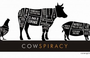 I 10 migliori film veg che vi faranno abbandonare la carne per sempre (IoVeg)