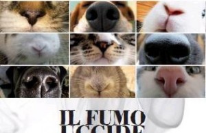 Fumo passivo: è nocivo anche per gli animali