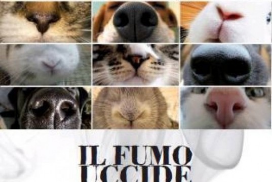 Fumo passivo: è nocivo anche per gli animali