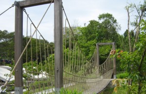 Singapore formato famiglia (FOTO)