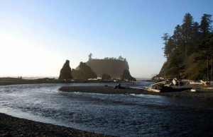 I grandi parchi americani da non perdere (FOTO) parchi americani