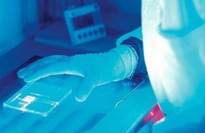 Cuore: creato cerotto bionico per ripararlo dopo un infarto