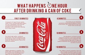 Coca Cola: cosa accade nel nostro corpo dopo averne bevuto una lattina?