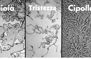 Lacrime: ne esistono di 3 diversi tipi