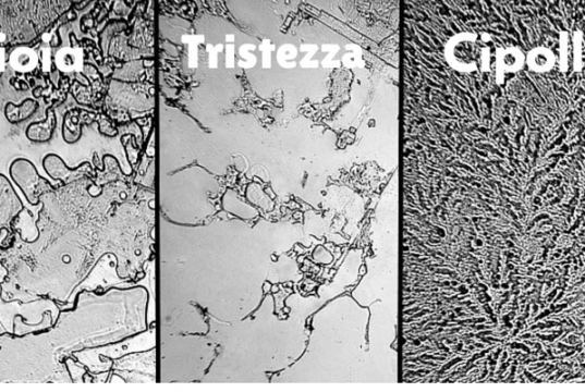 Lacrime: ne esistono di 3 diversi tipi