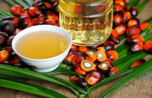 Olio di palma: ecco tutta la verità