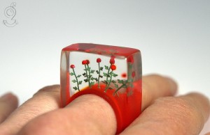 Pezzi di vita rinchiusi in anelli (FOTO)