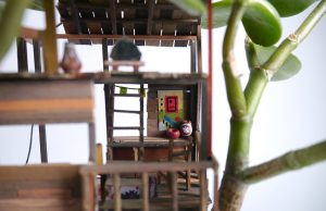 Per i fanatici del pollice verde arriva un trend del tutto originale (FOTO)