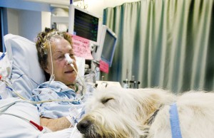 Un ospedale in Canada ha aperto le visite agli animali dei pazienti gravemente malati (FOTO)