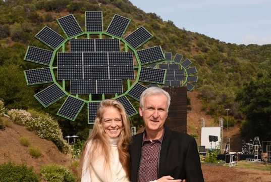 Il miglior ristorante green? La mensa scolastica della Muse (IoVeg)