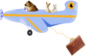 Cani e gatti mai più in stiva