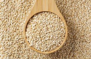 La quinoa: un concentrato di nutrienti preziosi per l’organismo