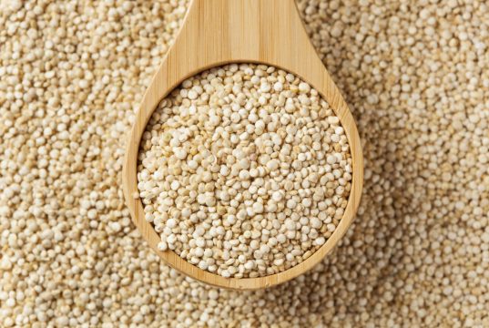 La quinoa: un concentrato di nutrienti preziosi per l’organismo