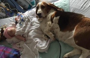 Tutto l’amore e l’adorazione di un cane (FOTO)