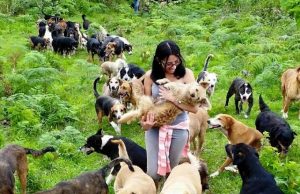 Costa Rica: dove i cani randagi hanno una casa