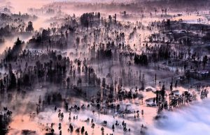 Le 20 migliori foto dell’anno per National Geographic (FOTO)