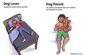 7 differenze tra chi ha un cane e chi ama i cani (FOTO)