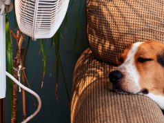 Le 7 cose che odiamo dell’estate