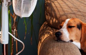 Le 7 cose che odiamo dell’estate