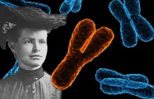 Chi era Nettie Stevens ? (FOTO)