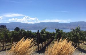 Lonely Planet: le mete imperdibili per il 2017