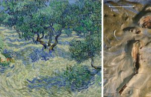 La cavalletta nel quadro di Van Gogh