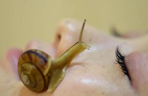 La bava di lumaca è efficace per eliminare le rughe?