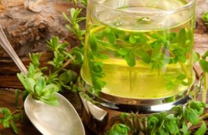 Olio di Brahmi: proprietà e benefici Olio di Brahmi