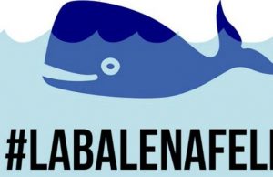 Blue Whale vs La balena felice Blue Whale