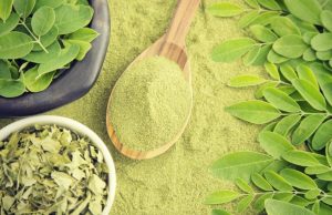 Moringa: proprietà, benefici ed utilizzi moringa