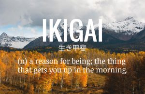 Ikigai, l’arte della felicità giapponese: istruzioni per l’uso Ikigai