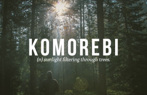 Parole giapponesi nella lingua italiana, bellissime ma intraducibili Parole giapponesi nella lingua italiana