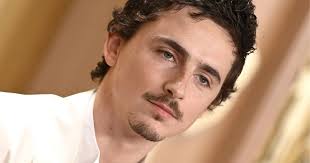 Timothée Chalamet umiliato agli Oscar? La frase “snob” che ha fatto infuriare Hollywood