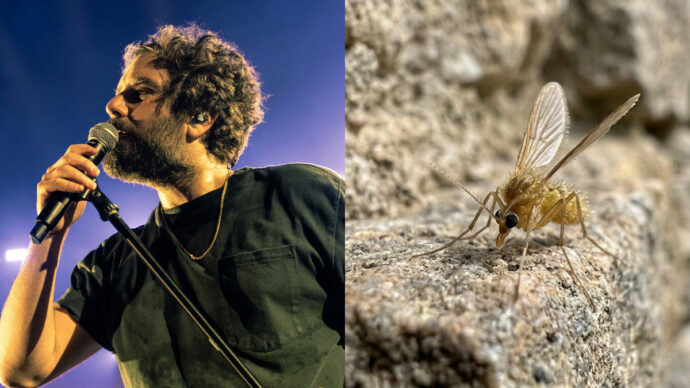 Tommaso Paradiso morso da un pappataci contrae il Toscana virus: che cos’è