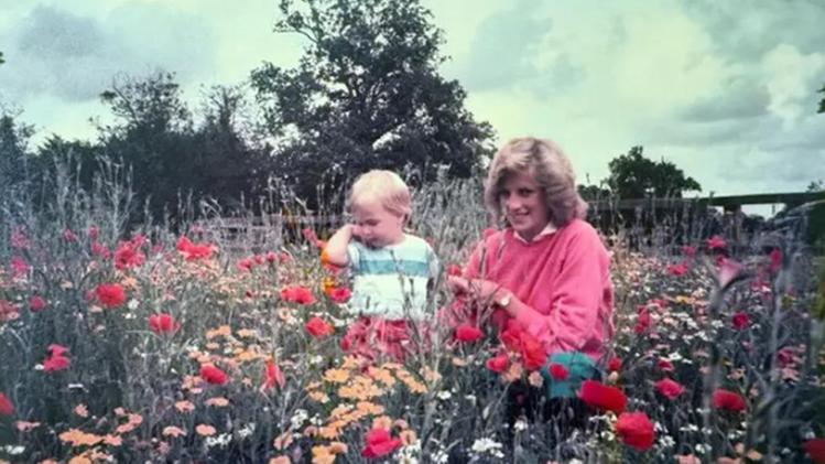 Il piano segreto del futuro re William: Diana sarà di nuovo principessa, la sfida a re Carlo